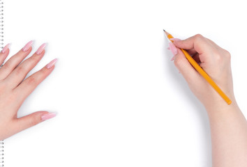 Female hand holding a pencil drawing on white whatman paper in an album, isolated on white background. File contains a path to isolation.