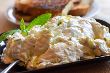 Tzatziki dip or sauce from Southeast Europe and Middle East made of salted strained yogurt mixed with cucumbers, garlic, salt, olive oil, vinegar or lemon juice, and dill, mint, parsley and thyme.