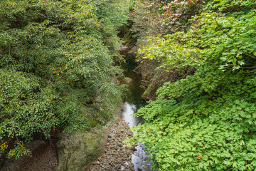 Fototapeta premium Towada Hachimantai National Park in early autumn