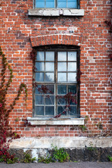 Old window and brick wall. Red scarlet on the window.