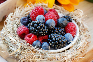 Blueberries, blackberries and raspberries together in one plate.