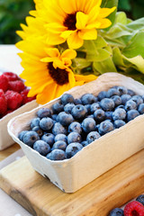 Paper box with blueberries and flowers in the background.