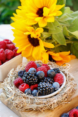 Blueberries, blackberries and raspberries together in one plate.