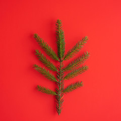 Minimalistic Christmas tree made of evergreen fir plant on red background. Christmas, new year concept. Flat lay,