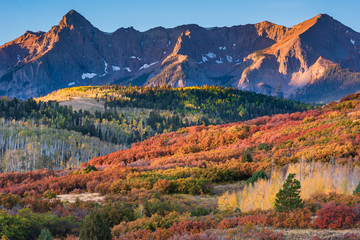 Autumn in the San Juan Mountains of Colorado. Aspen Trees With Shadows