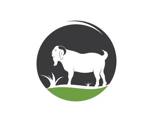 Goat Logo Template vector illustrtion