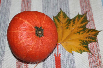  pumpkin ripened