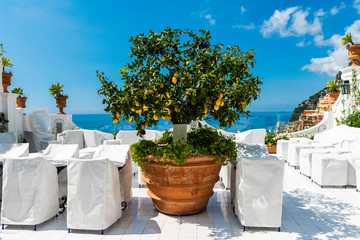 Lemon tree in the beautiful Italian town of Positano on the Amalfi Coast