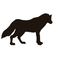 Wolf Silhouette