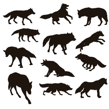 Wolf Silhouettes