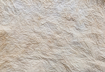 Paper texture