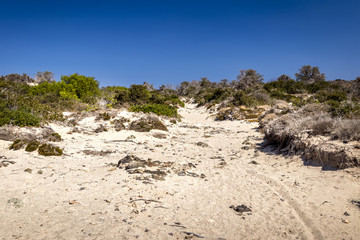 Chrissy island scenery on a sunny summer day with dry trees, white sand and blue clear sky.