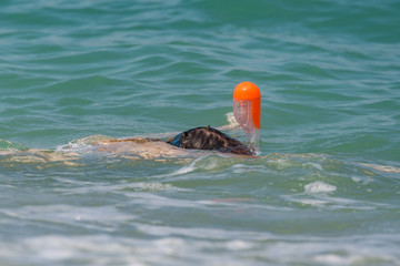 snorkelling in the sea