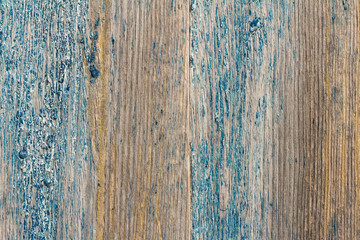 Fototapeta na wymiar A fragment of an old wooden fence with remnants of blue paint, close-up.