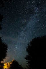 Amazing starry night sky with Milky way and stars above tourists tents in woods in mountains. Camping under the beautiful stars and trees. Breathtaking scenic
