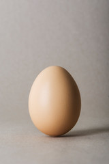 Egg