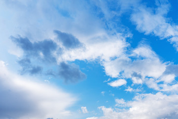 Fototapeta premium white feather clouds on a clear bright blue sky, contrasting background