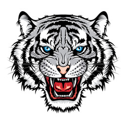 Angry tiger head. 
