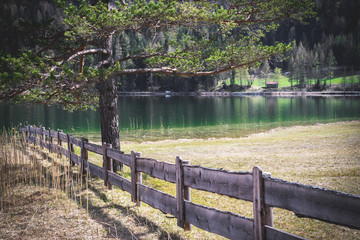 Wooden fence