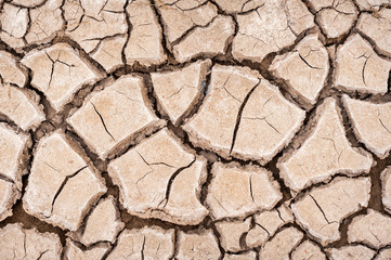 Cracked mud in drought conditions on the ground.