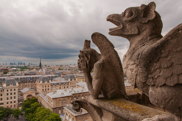 Paris skyline with gargoyle