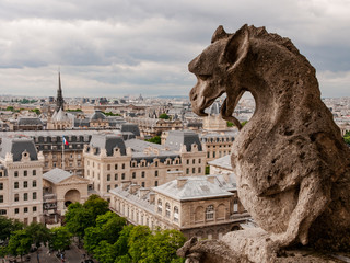 Paris skyline with gargoyle