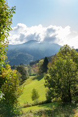 Schwarzwald 