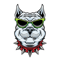 American Pitbull Terrier dog wearing sunglasses.