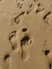 Footprints in the sand at sunset, Diverging footsteps in the hot sand on a hot summer day, Traces of adult and children feet in the sand on the beach
