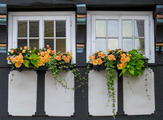 Fototapeta na wymiar Fenster mit Blumenschmuck
