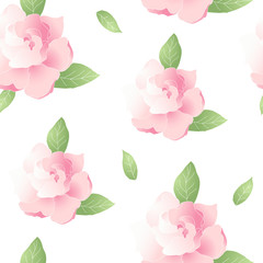 Seamless patter with pink flower