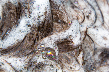 Girl washing her head on a blue background