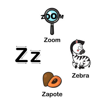 Alphabet Letter Z-zapote,zebra,zoom vector illustration