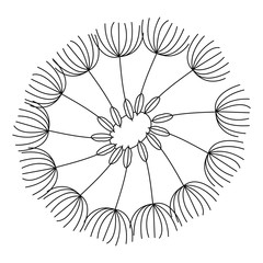 Vector isolated illustration of a single dandelion. Used black lines on a white background