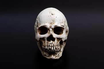 Human skull on  black background