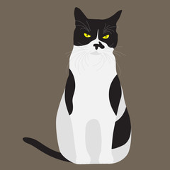 Black and White Cat. Vector Illustration Cartoon