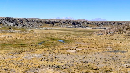 Altiplano et Volcans, Cordill&egrave;re des Andes, P&eacute;rou