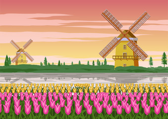 tulip garden,famous symbol of Holland and wind mill around with beautiful nature,vintage color