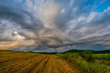 Obraz premium Storm clouds in the summer near sunflowers field