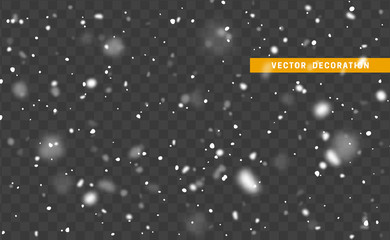 Falling white snow on transparent background. Texture winter snowflakes.