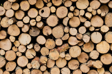 Abstract photo of a pile of natural wooden logs background, top view