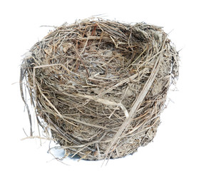 Nest isolated on white background