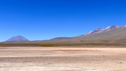 Altiplano et Volcans, Cordillère des Andes, Pérou