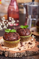 Chocolate Muffins with pieces of chocolate. Delicious homemade sweet dessert. Coffee break