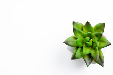 Conceptual object on the floor.