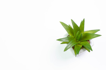 Conceptual object on the floor.