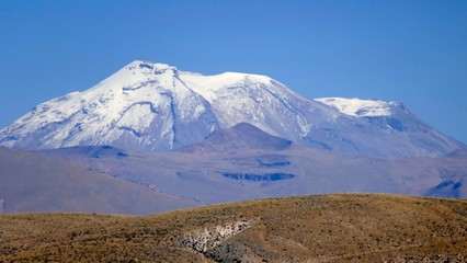 Altiplano et Volcans, Cordillère des Andes, Pérou
