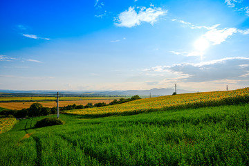 Fototapeta na wymiar Beautiful landscape in the summer ion sunny day