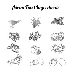 Sketch Asean Food Elements 002