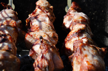 barbecue on the lake on skewers and barbecue with coals and smoke